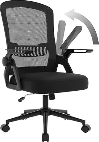 naspaluro Sedia da Ufficio Ergonomica Poltrona con Supporto Lombare, Nero